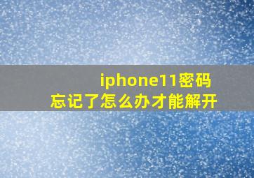 iphone11密码忘记了怎么办才能解开