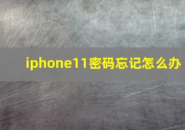 iphone11密码忘记怎么办