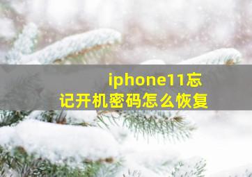 iphone11忘记开机密码怎么恢复