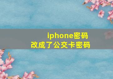 iphone密码改成了公交卡密码