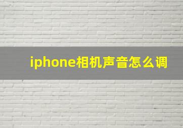 iphone相机声音怎么调