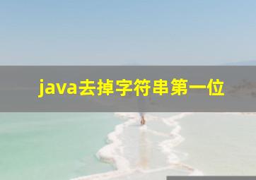 java去掉字符串第一位