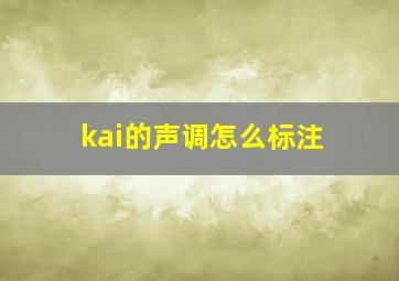 kai的声调怎么标注