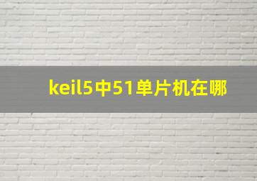 keil5中51单片机在哪