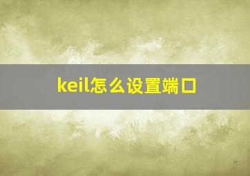 keil怎么设置端口