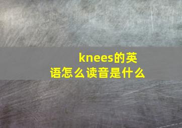 knees的英语怎么读音是什么