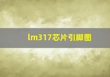 lm317芯片引脚图