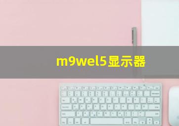 m9wel5显示器