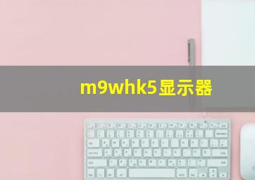 m9whk5显示器