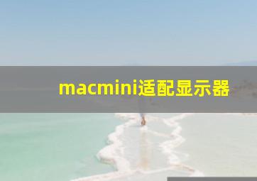 macmini适配显示器