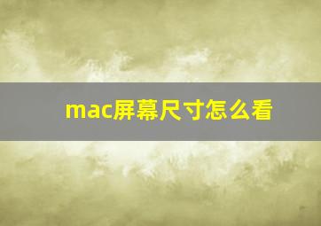 mac屏幕尺寸怎么看