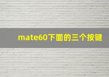 mate60下面的三个按键