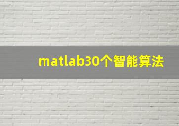 matlab30个智能算法