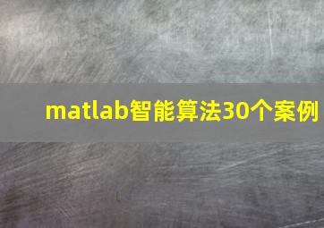 matlab智能算法30个案例