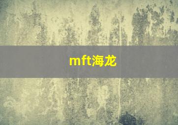 mft海龙