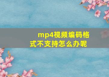 mp4视频编码格式不支持怎么办呢