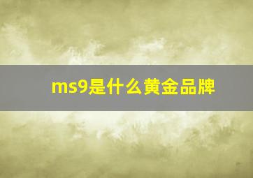 ms9是什么黄金品牌