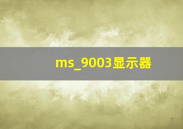 ms_9003显示器