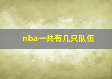 nba一共有几只队伍