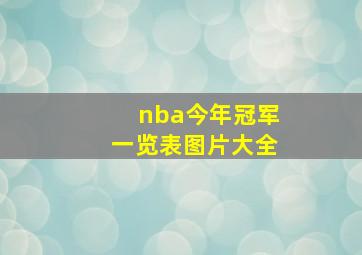 nba今年冠军一览表图片大全