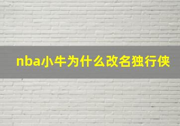 nba小牛为什么改名独行侠