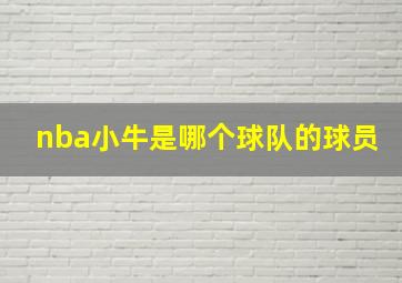 nba小牛是哪个球队的球员