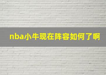 nba小牛现在阵容如何了啊