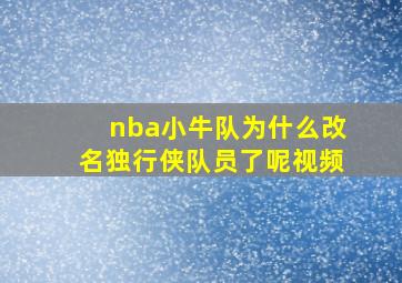 nba小牛队为什么改名独行侠队员了呢视频