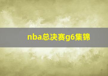 nba总决赛g6集锦