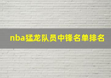 nba猛龙队员中锋名单排名