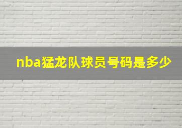 nba猛龙队球员号码是多少