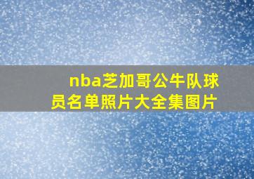 nba芝加哥公牛队球员名单照片大全集图片