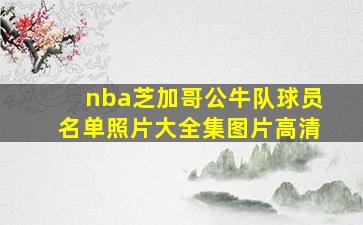 nba芝加哥公牛队球员名单照片大全集图片高清