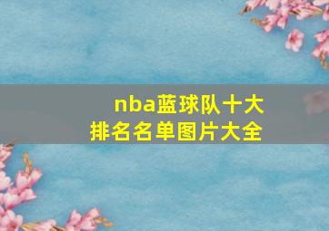 nba蓝球队十大排名名单图片大全