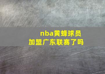 nba黄蜂球员加盟广东联赛了吗