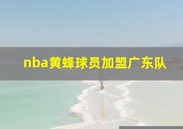 nba黄蜂球员加盟广东队