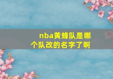 nba黄蜂队是哪个队改的名字了啊