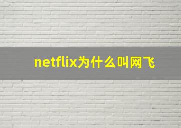 netflix为什么叫网飞