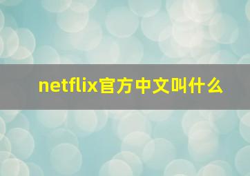 netflix官方中文叫什么