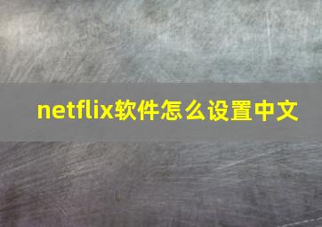 netflix软件怎么设置中文