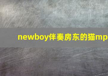 newboy伴奏房东的猫mp3