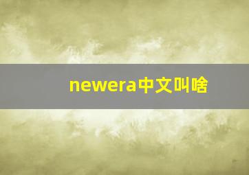 newera中文叫啥