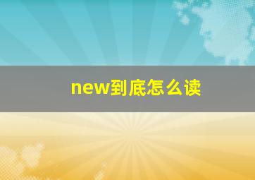 new到底怎么读