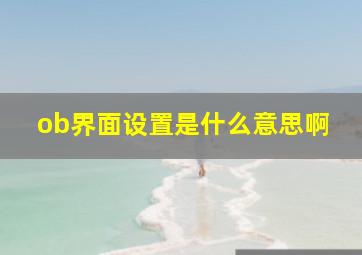 ob界面设置是什么意思啊