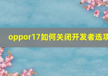 oppor17如何关闭开发者选项