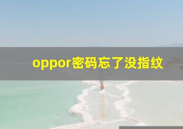 oppor密码忘了没指纹