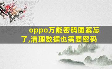 oppo万能密码图案忘了,清理数据也需要密码