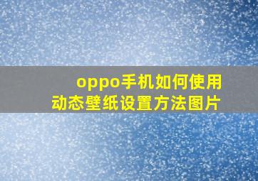 oppo手机如何使用动态壁纸设置方法图片