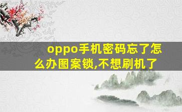 oppo手机密码忘了怎么办图案锁,不想刷机了