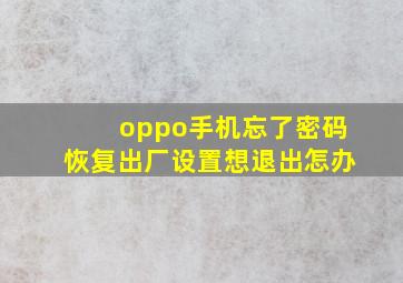 oppo手机忘了密码恢复出厂设置想退出怎办